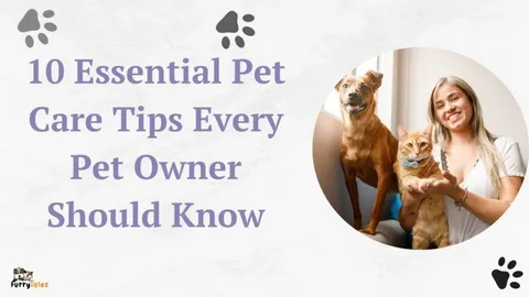 10 Responsible Pet Care Tips Every Pet Owner Should Know